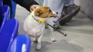 16.04.2026. "Северная Корона" - "Команда 89"