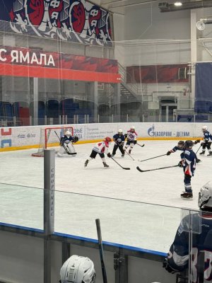 23.01.2026. Золотая Шайба