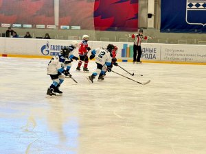 23.01.2026. Золотая Шайба