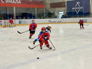 23.01.2026. Золотая Шайба