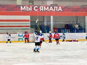 23.01.2026. Золотая Шайба