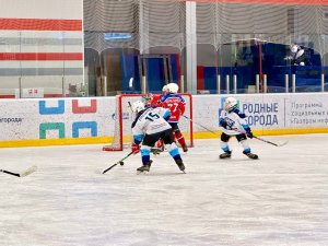 23.01.2026. Золотая Шайба