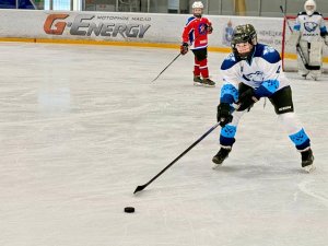 23.01.2026. Золотая Шайба