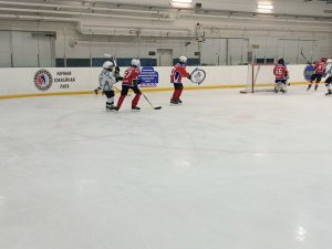 27.01.2026. Золотая Шайба 27.01.2026