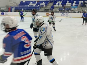 28.01.2026. Золотая шайба 28.01.2026