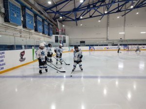 28.01.2026. Золотая шайба 28.01.2026