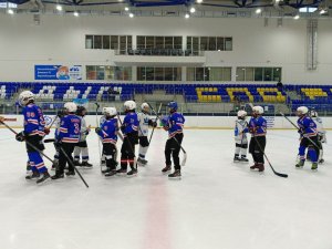 28.01.2026. Золотая шайба 28.01.2026