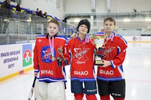 30.01.2026. Региональный этап &laquo;Золотой шайбы&raquo; в сезоне 2025/2026 среди юношей 2013-2014 гг. рождения завершён