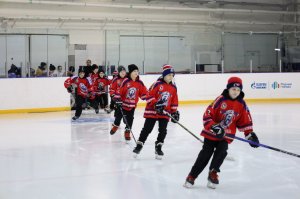 30.01.2026. Региональный этап &laquo;Золотой шайбы&raquo; в сезоне 2025/2026 среди юношей 2013-2014 гг. рождения завершён