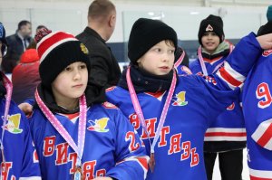 30.01.2026. Региональный этап &laquo;Золотой шайбы&raquo; в сезоне 2025/2026 среди юношей 2013-2014 гг. рождения завершён