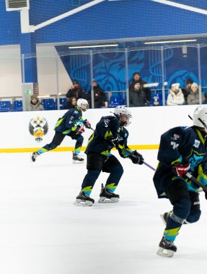 23.03.2026. Первенство ЯНАО по хоккею среди юношей до 14 лет (2012 г.р.) в сезоне 2025/2026