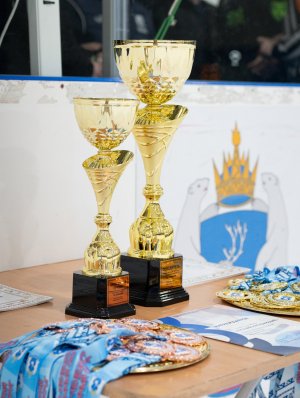 30.03.2026. Завершилось Первенство ЯНАО по хоккею среди юношей до 14 лет (2012 г.р.)