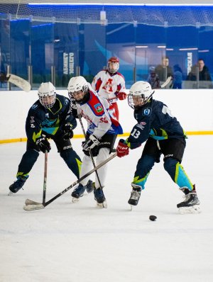 30.03.2026. Завершилось Первенство ЯНАО по хоккею среди юношей до 14 лет (2012 г.р.)