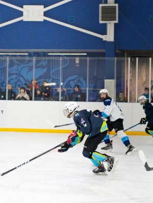 30.03.2026. Завершилось Первенство ЯНАО по хоккею среди юношей до 14 лет (2012 г.р.)