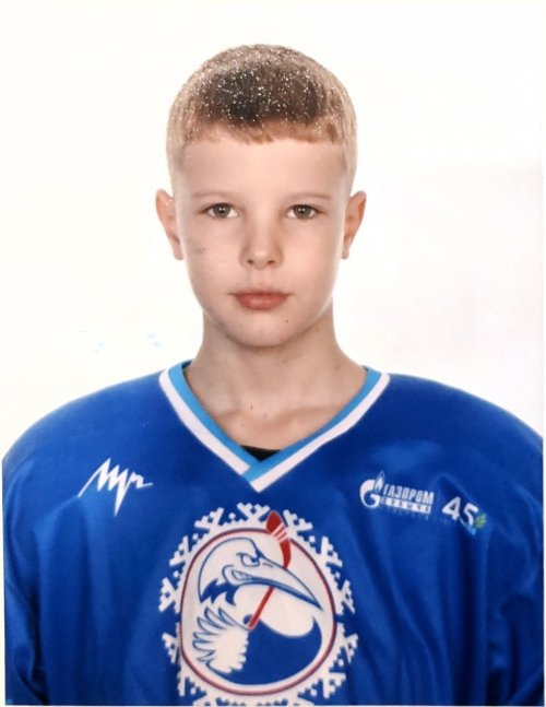 Брылев  Владислав  Ильич